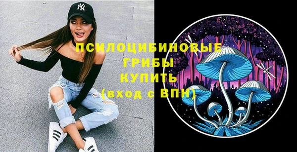 спайс Новозыбков