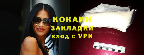 мдпв Болохово
