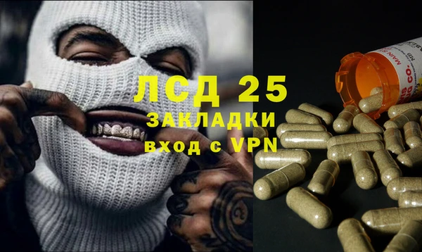 стафф Болхов