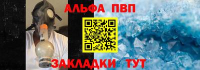 шишки Бийск