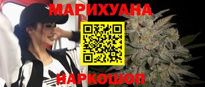 шишки Бийск