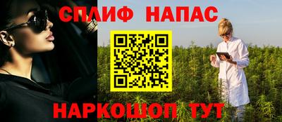 шишки Бийск