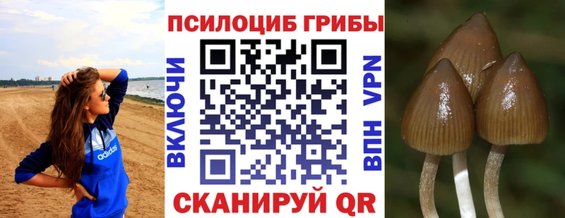 Галлюциногенные грибы прущие грибы  Павлово 