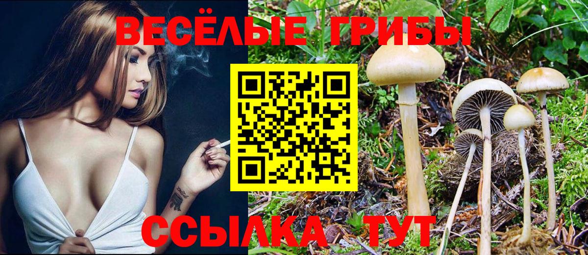 Галлюциногенные грибы GOLDEN TEACHER  Павлово 