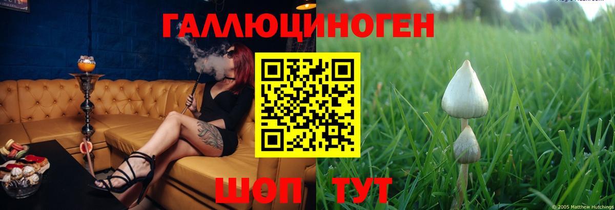 Псилоцибиновые грибы Psilocybine cubensis  Галлюциногенные грибы ЛСД  Павлово  Вход с VPN 